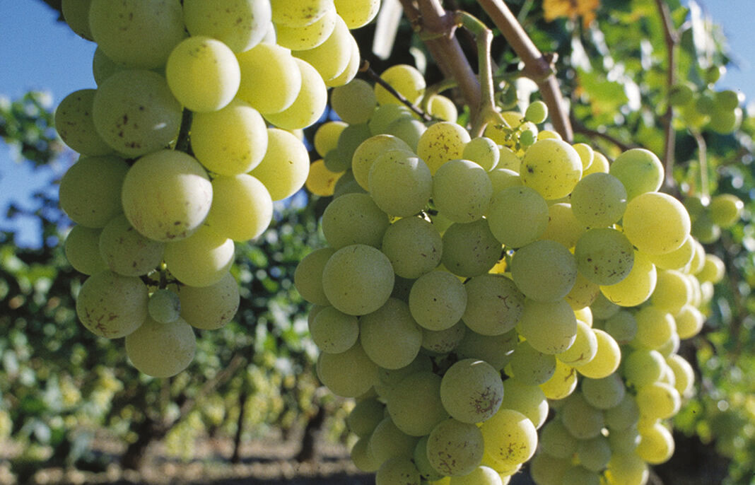 France Passion offre des intéressants et avantageux occasions de passer la nuit