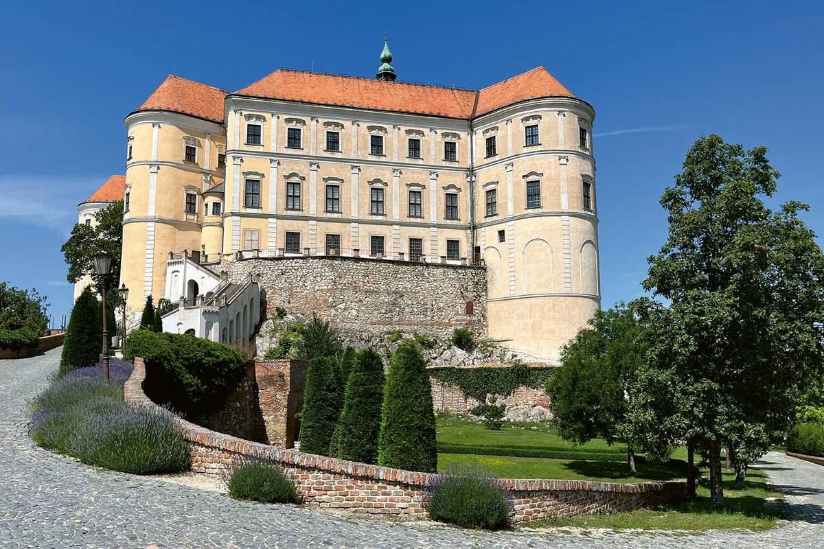 Le château de Mikulov se trouve dans la ville du même nom, sur un promontoire rocheux à proximité immédiate du centre.