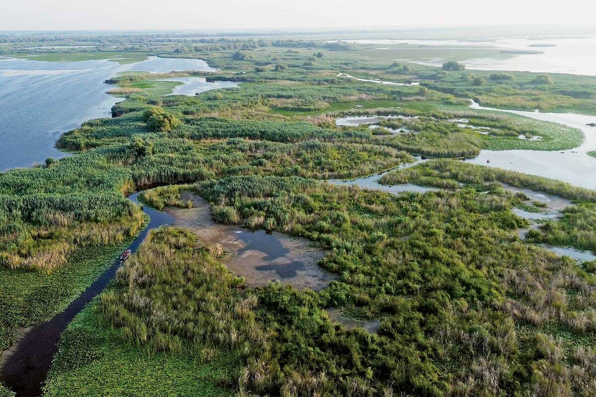 Lors d’une visite guidée en bateau à moteur, nous découvrons les paysages et la faune exceptionnels du delta du Danube.