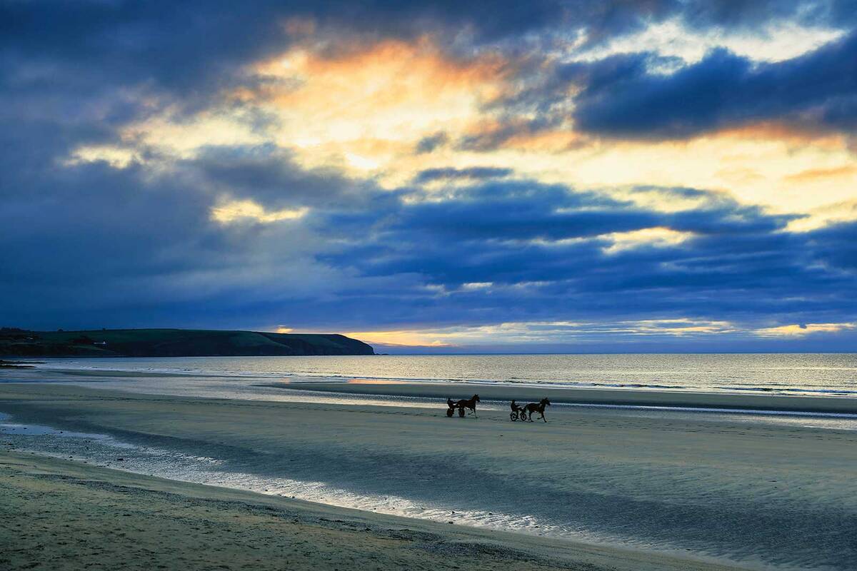 Nous regardons des jockeys de trot sur la plage de Dunmore.