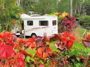 Faszinierende Pflanzenwelt.