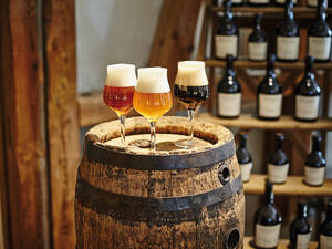 Du houblon à la bière brassée et fraîchement tirée – c’est l’un des thèmes de la route gourmande qui traverse la Haute-Souabe-Allgäu.