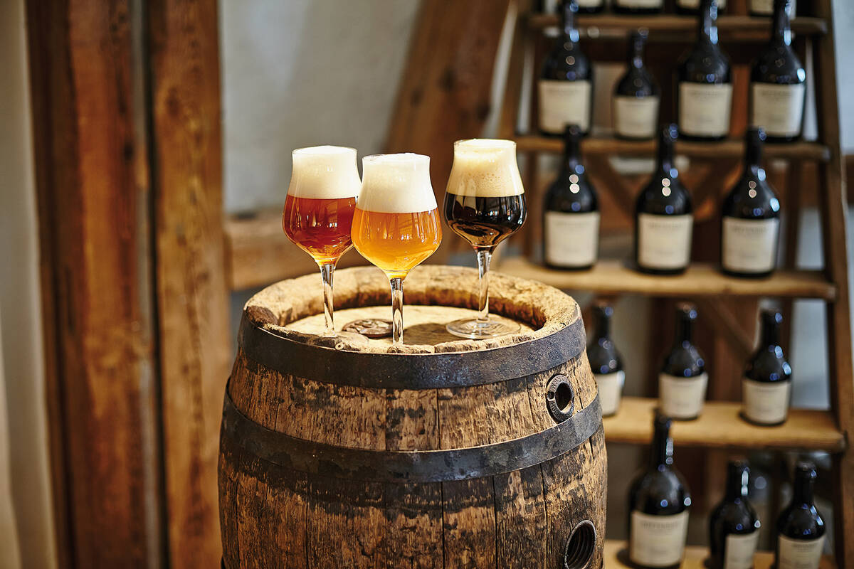 Du houblon à la bière brassée et fraîchement tirée – c’est l’un des thèmes de la route gourmande qui traverse la Haute-Souabe-Allgäu.