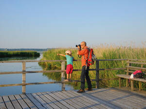 Der Federsee bei Bad Buchau in Oberschwaben liegt inmitten eines grossen Moorgebietes.