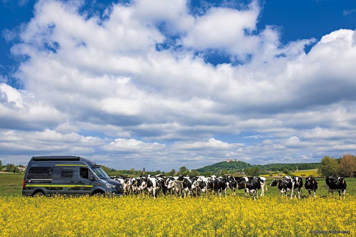 Sur la Route allemande des châteaux forts, au cœur d'un paysage idyllique.