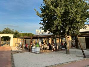 Im Weingut Cantina Coppola erhalten wir Einblicke in die Produktion des Weines und können zu kulinarischen Leckerbissen dies auch gleich probieren.