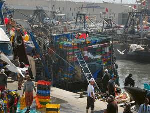 Der Fischerhafen von Essaouira – quirliges Leben an der Atlantikküste.