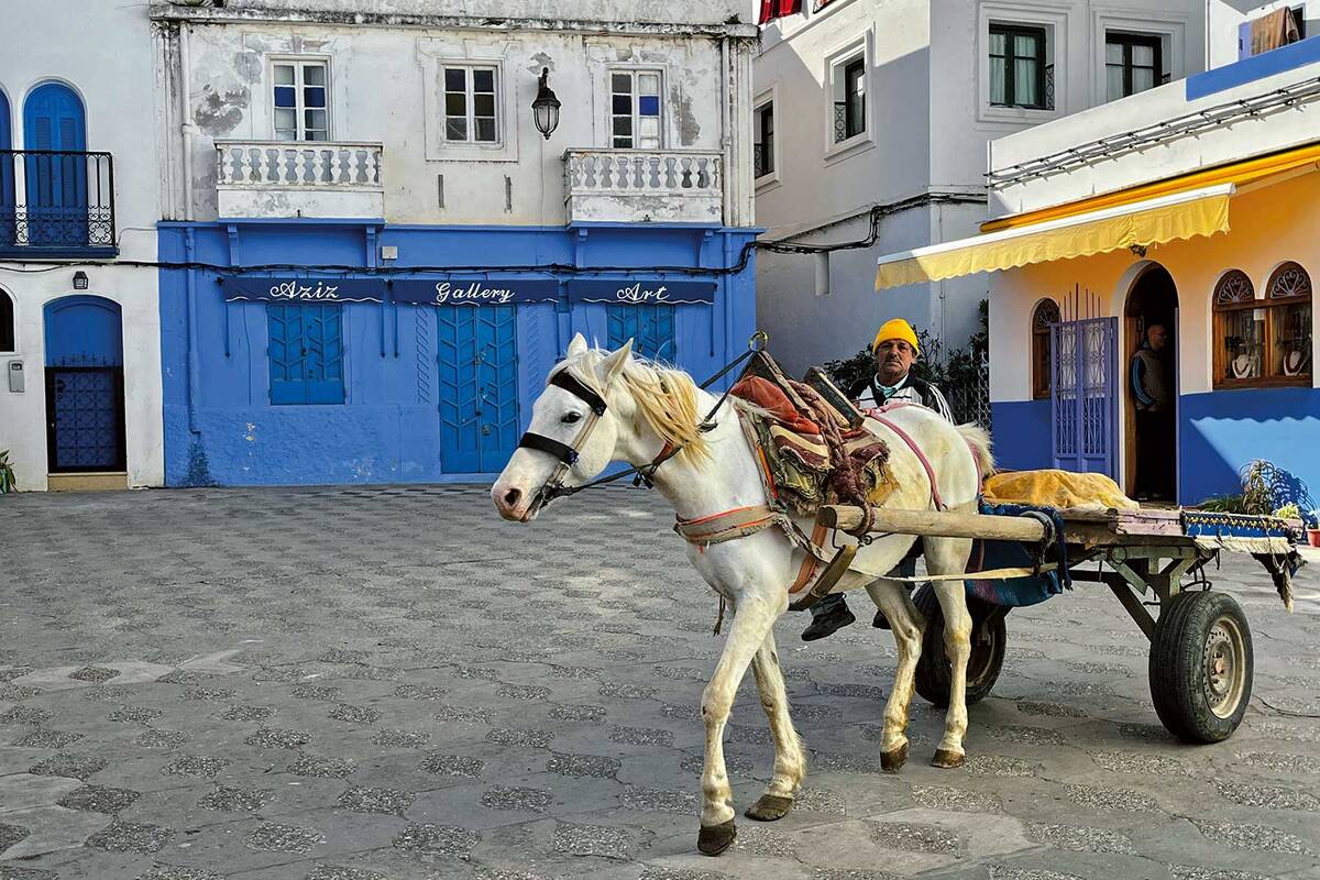 La petite ville d’Asilah – centre culturel du Maroc avec une magnifique vieille ville historique.