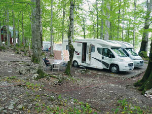 Exklusiver Übernachtungsplatz in einem weitläufigen Waldstück unter  uralten Buchen und Eichen im Biogradska Gora Nationalpark.