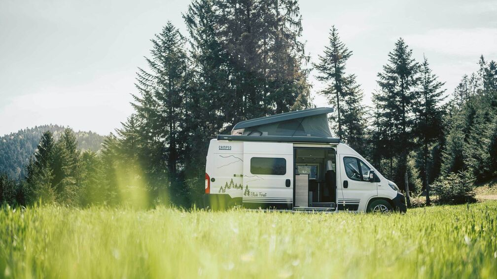 Variantes de design : Campeo Black Forest